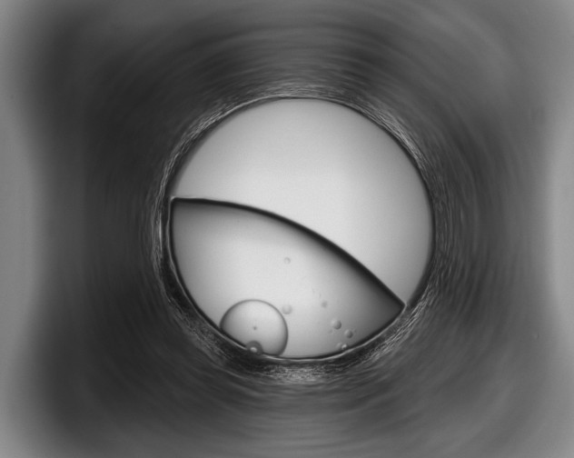 X0000097990349200803241026