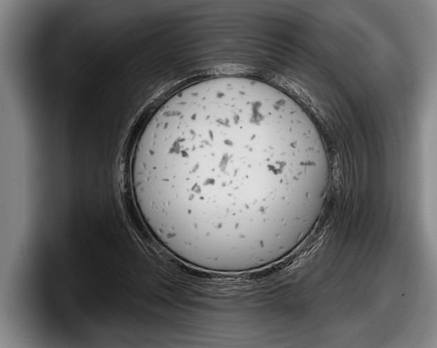 X0000097990351200803241026
