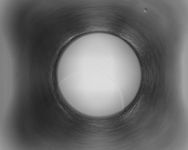 X0000097990352200803241026