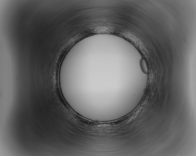 X0000097990353200803241026