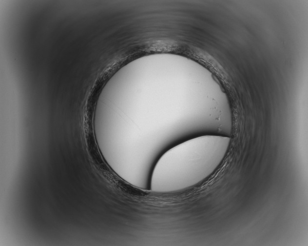 X0000097990354200803241026