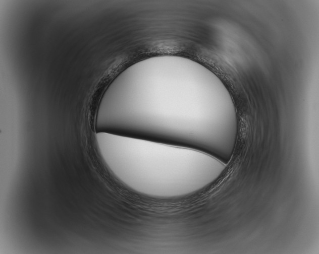 X0000097990358200803241026