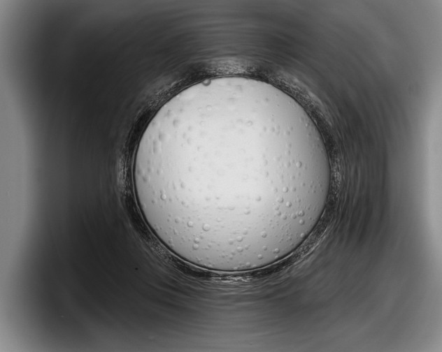 X0000097990359200803241026