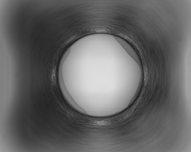 X0000097990360200803241026