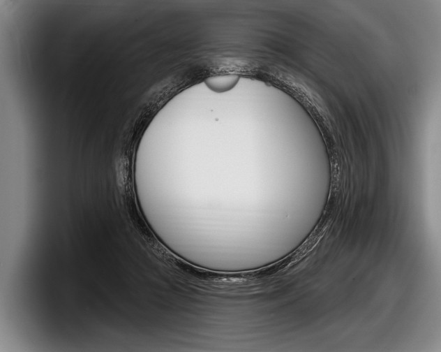 X0000097990361200803241026