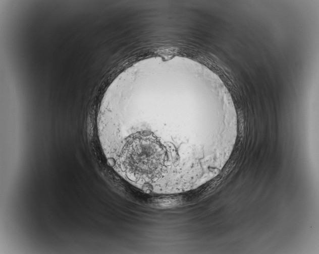 X0000097990370200803241026