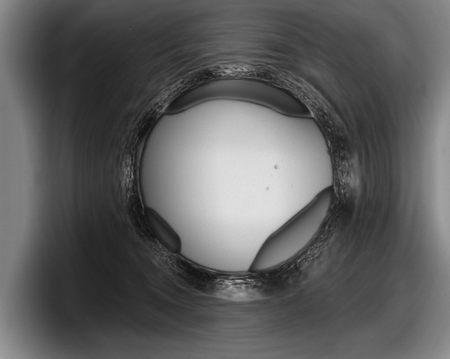 X0000097990372200803241026