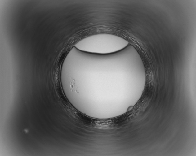 X0000097990373200803241026