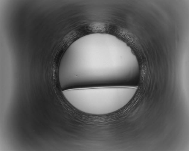 X0000097990379200803241026