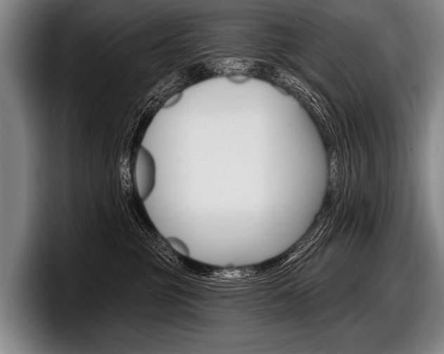 X0000097990381200803241026