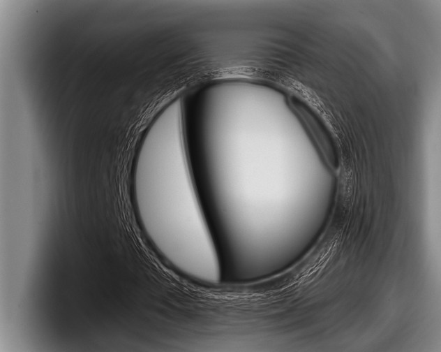 X0000097990385200803241026