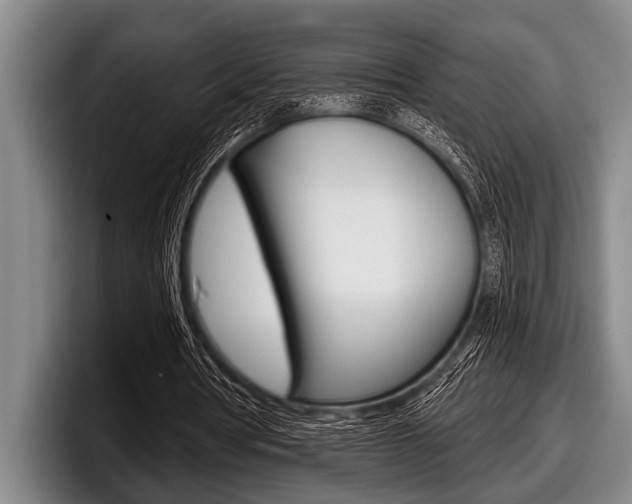 X0000097990386200803241026