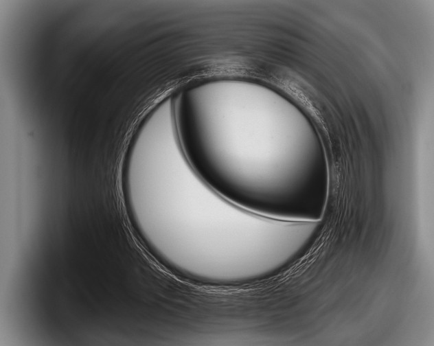 X0000097990389200803241026