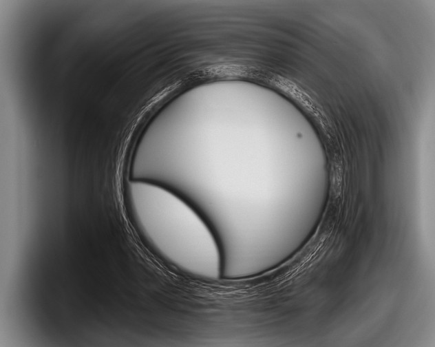 X0000097990390200803241026