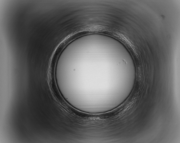 X0000097990392200803241026