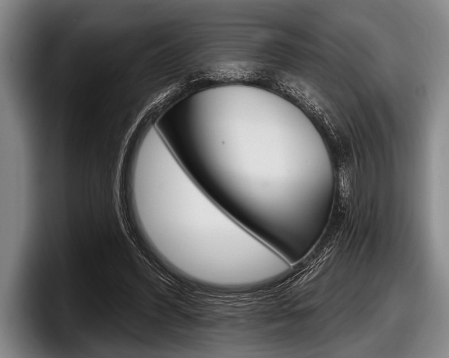 X0000097990396200803241026