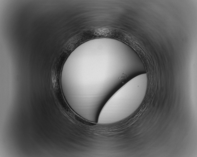 X0000097990408200803241025