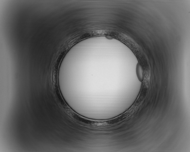 X0000097990410200803241025