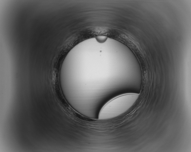 X0000097990412200803241025