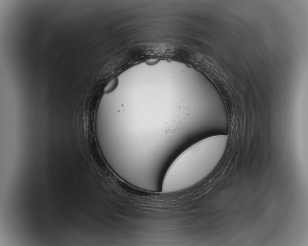X0000097990416200803241025