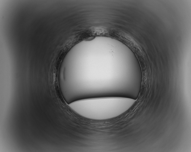 X0000097990417200803241025