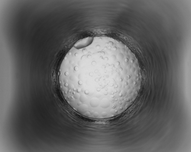 X0000097990418200803241025