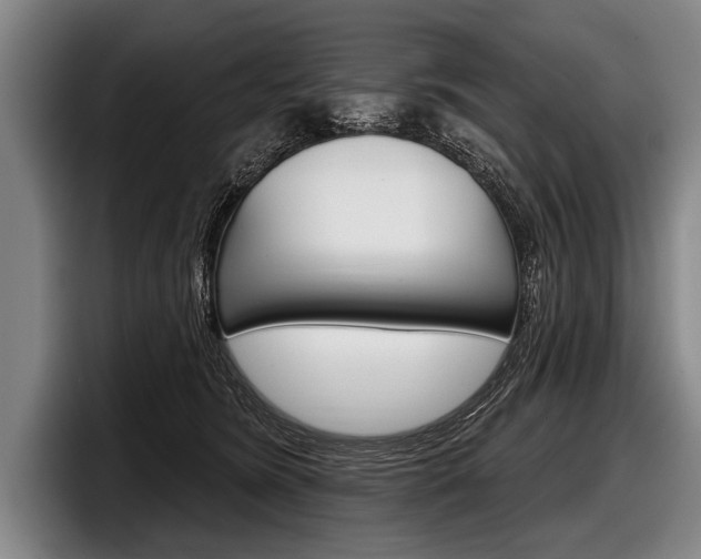 X0000097990420200803241025