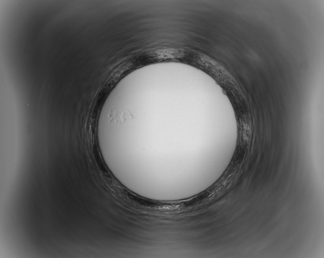 X0000097990422200803241025