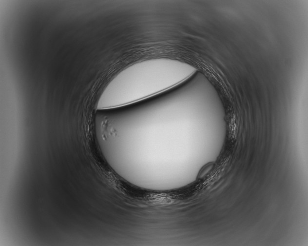 X0000097990424200803241025