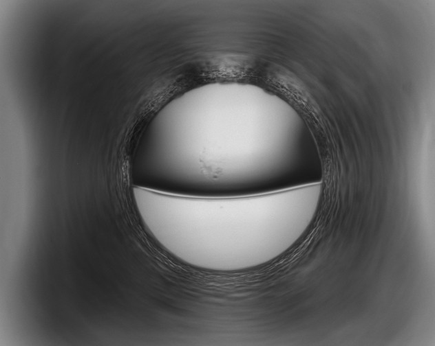 X0000097990425200803241025