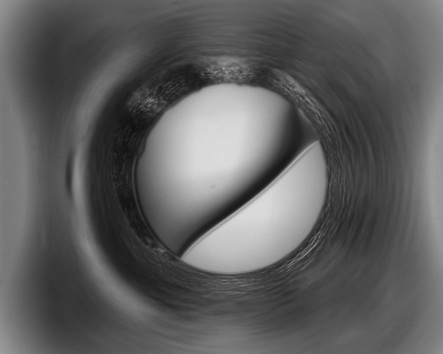 X0000097990429200803241025
