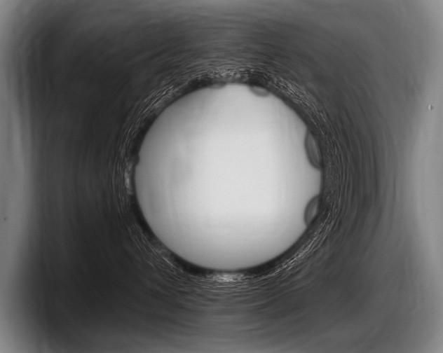 X0000097990432200803241025