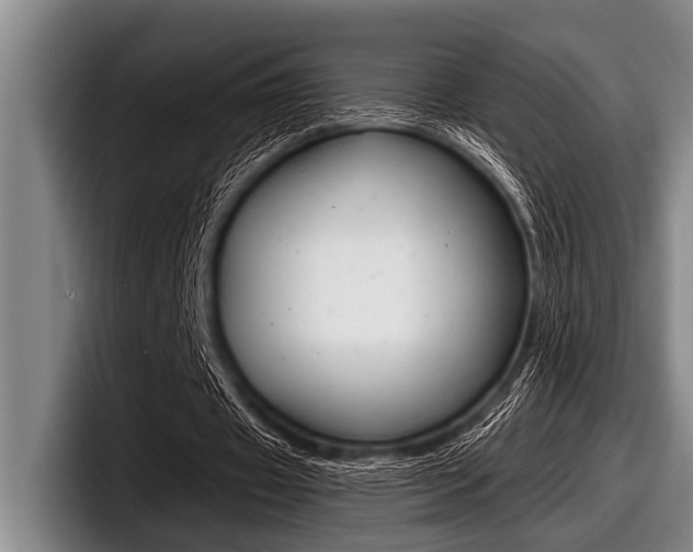 X0000097990433200803241025
