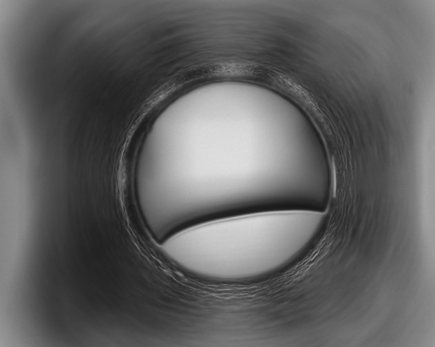X0000097990435200803241025