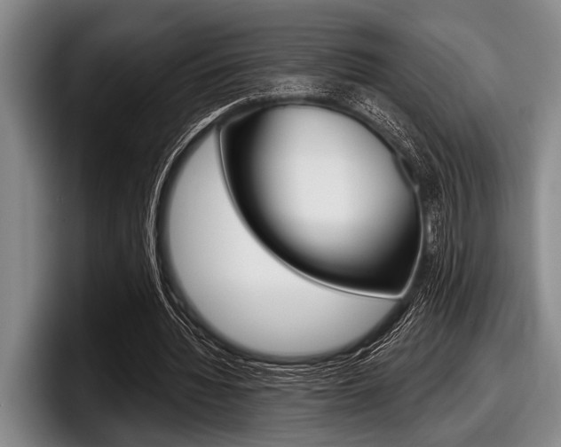 X0000097990436200803241025