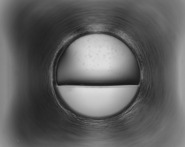 X0000097990438200803241025