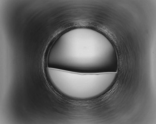 X0000097990439200803241025