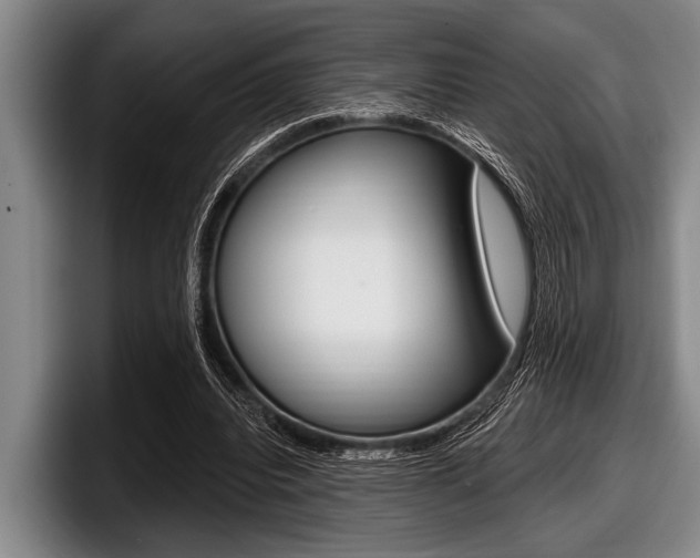 X0000097990440200803241025