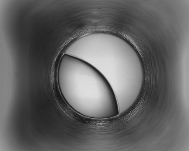 X0000097990443200803241025