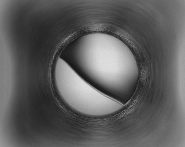 X0000097990446200803241025