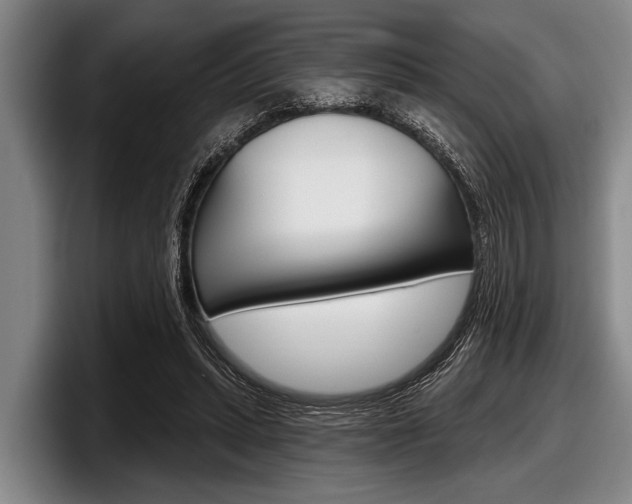 X0000097990447200803241025