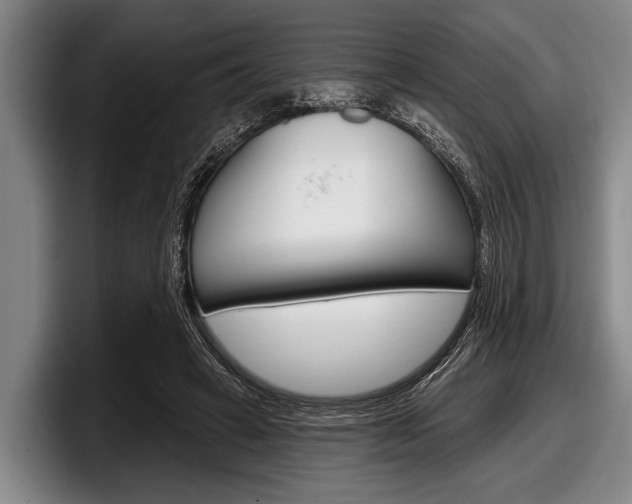 X0000097990449200803241025