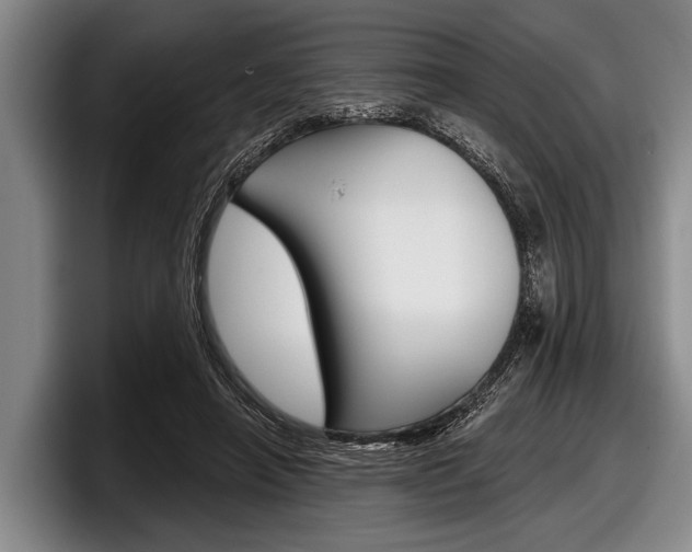 X0000097990450200803241025