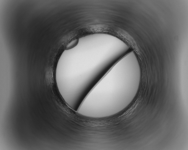 X0000097990453200803241025