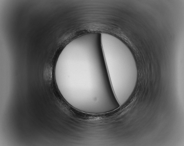 X0000097990454200803241025