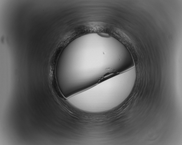 X0000097990456200803241025
