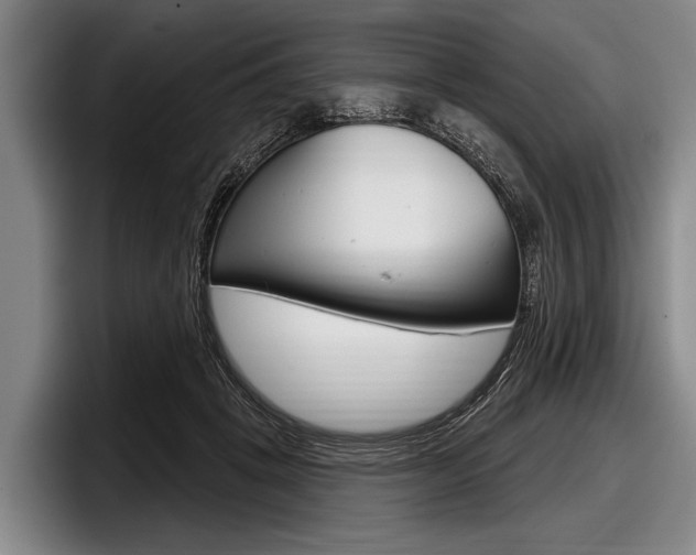 X0000097990457200803241025