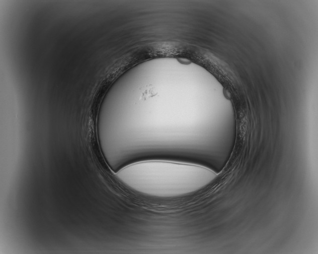 X0000097990459200803241025
