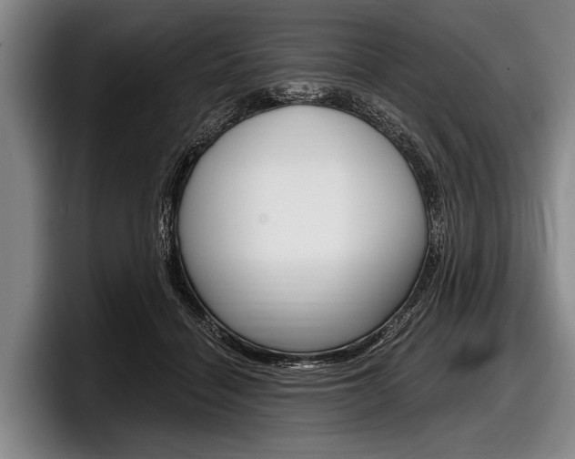 X0000097990460200803241025
