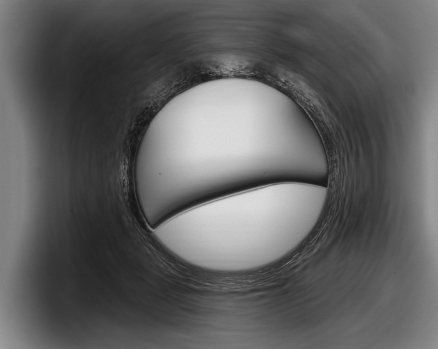 X0000097990461200803241025